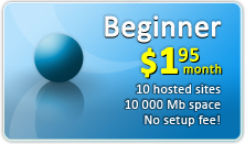Beginner