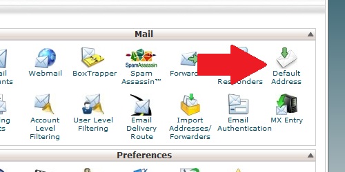 Open the Default Address page from within cPanel.
